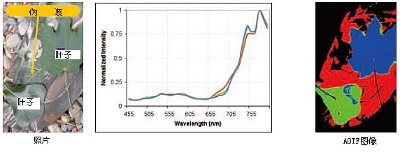 伪装物识别/高光谱成像系统 HSi300(HyperSpectral Imaging HSi300)