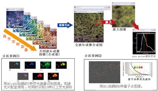ENVI:׼/΢ʵʱϵͳHyper Spectral Imaging HSi